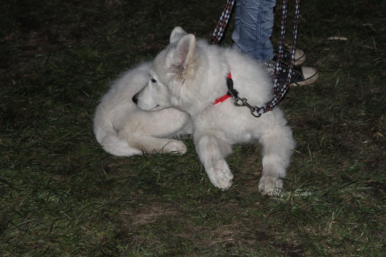 Bild 75 - Osterfeuer 2012